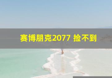 赛博朋克2077 捡不到